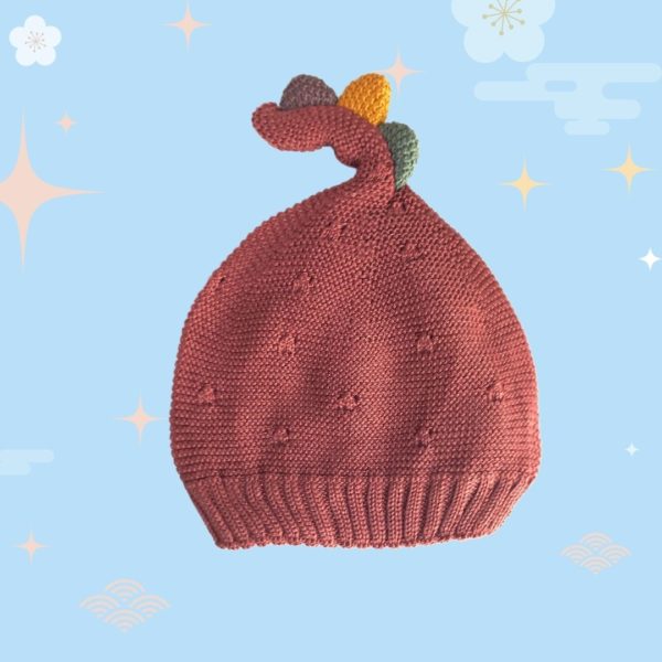 winter stylish cap